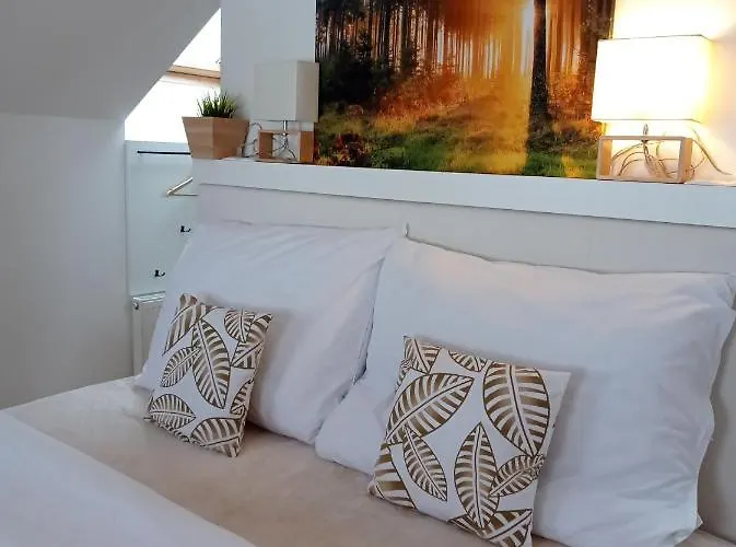 Brunetti Jeseníky Apartmán *